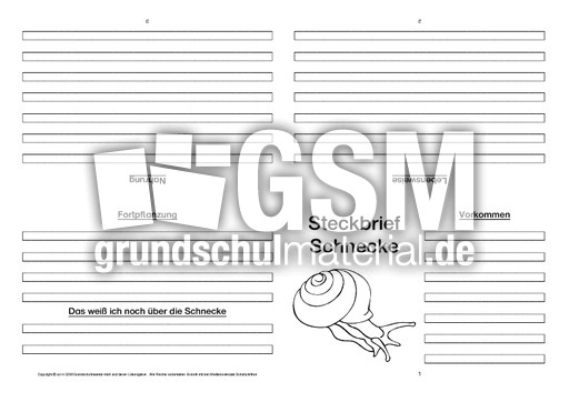 Schnecke-Faltbuch-vierseitig.pdf